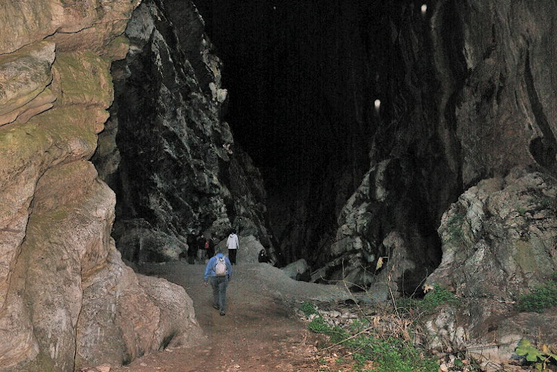 Excursión a las Cuevas del Hundidero y Gato. 072%20Cueva%20del%20Gato%2020110130%20104
