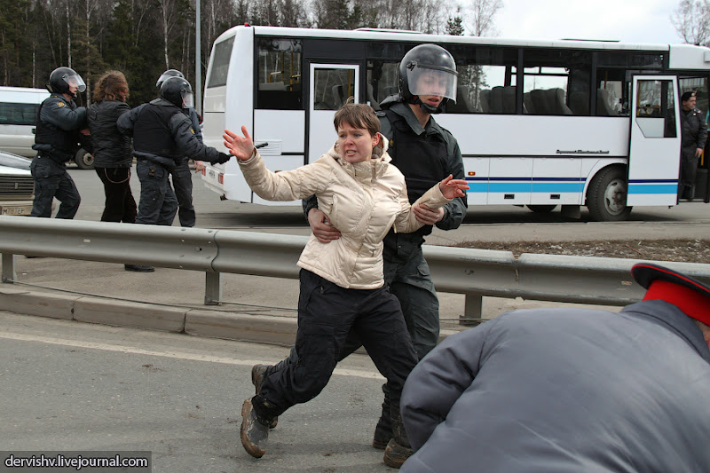 Бои за Химкинский лес продолжаются. 