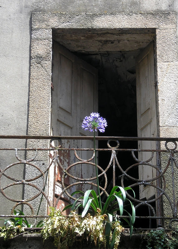 Uma janela perdida no tempo