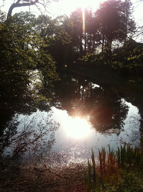 Mirror pond - Gawsworth, Cheshire