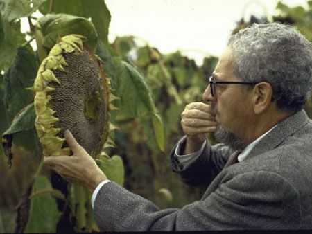 As mortes mais irônicas da história Jerome-Rodale