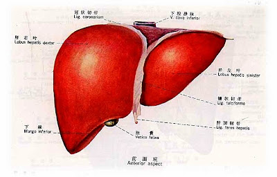 點圖放大