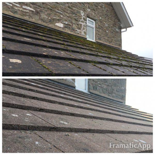 White lichen - Softwash Cleaning - Window Cleaning Forums | UK's #1 Window Cleaners Forum