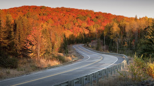 Highway 60 Through Algonquin Provincial Park, Ontario.jpg
