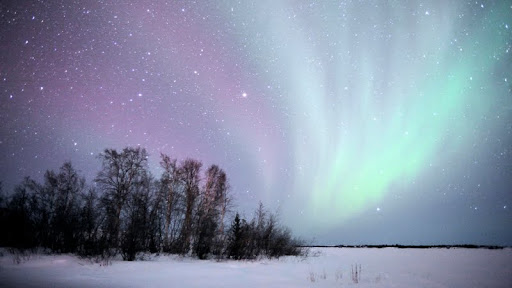 Aurora Borealis, Northwest Territories, Canada.jpg