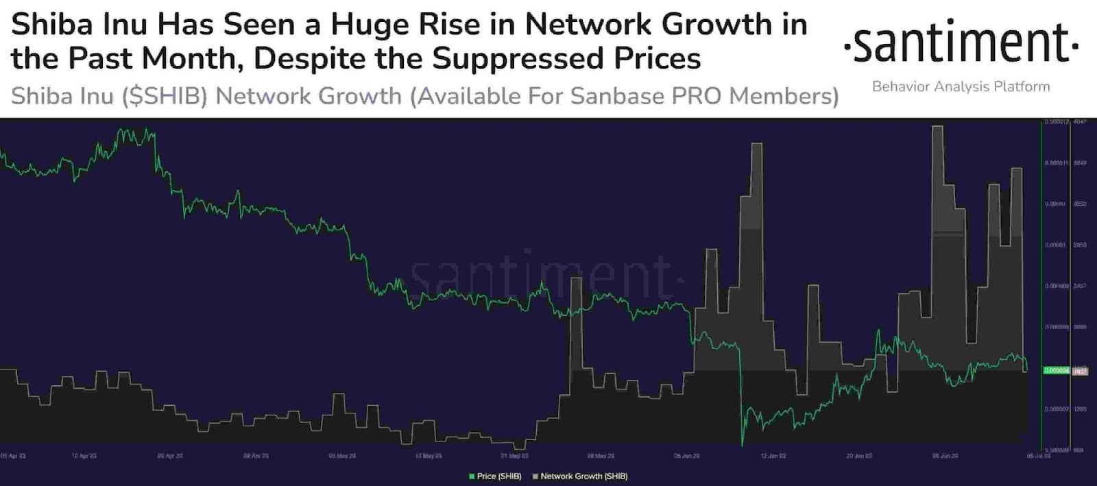SHIB network booms adds 2,500 new addresses a day in June 