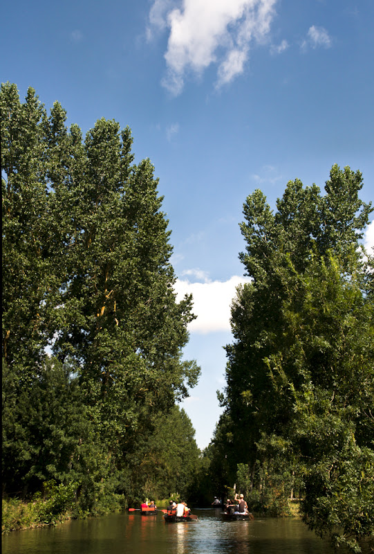 Marais Poitevin - Coulon - 9 août 2010... 20100809_MaraisPoitevin_Pano14_D90-2%20images-2