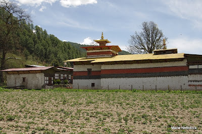 Бутан, апрель 2011: Паро-Пунакха-Тронгса-Бумпанг-Тхимпху