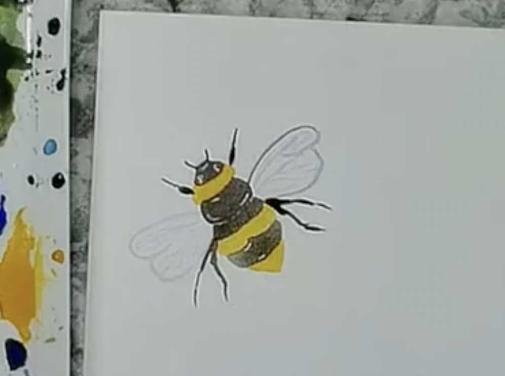 watercolor bee
