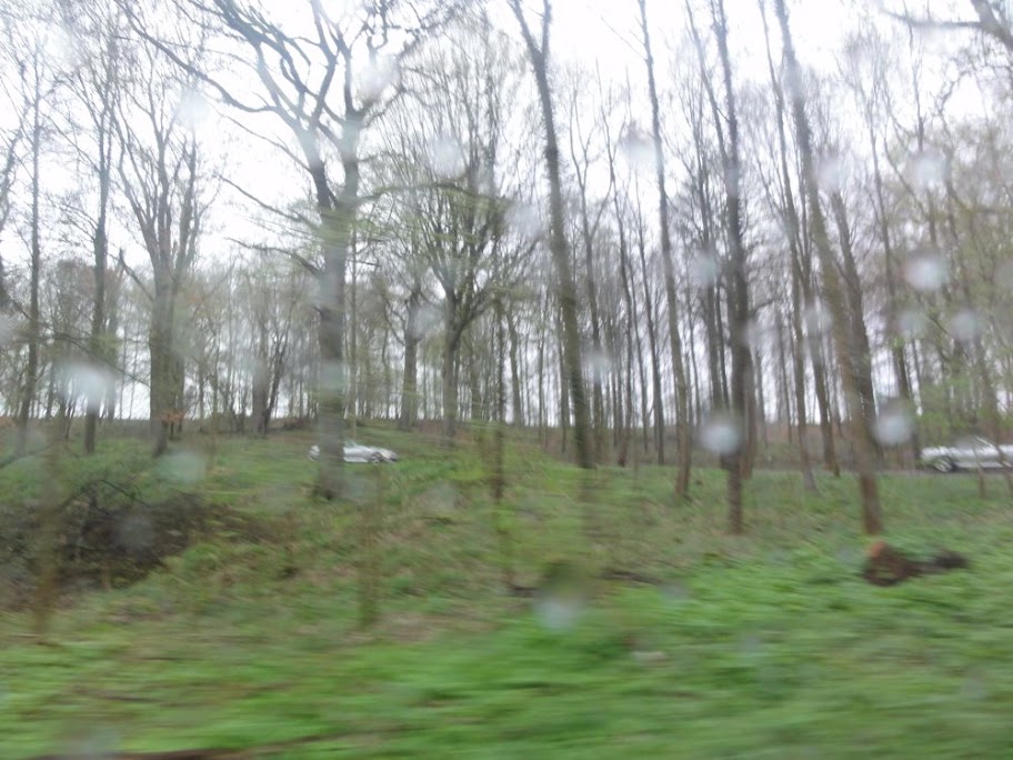Geplaatste afbeelding