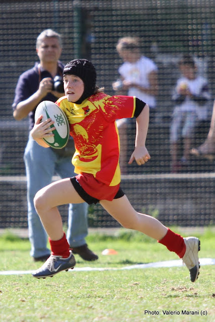 IMAGE: https://lh5.googleusercontent.com/_xoFtBSPgB9Y/TaLTuFTS5jI/AAAAAAAAD44/HxU1QArgL7U/s640/IMG_3151.JPG