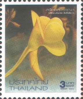 2004_Thailand_detail.jpg
