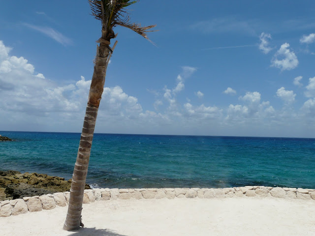 DIA 4: XCARET - RIVIERA MAYA; Guía práctica para no perderse ningún detalle (25)
