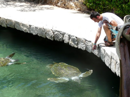 DIA 4: XCARET - RIVIERA MAYA; Guía práctica para no perderse ningún detalle (19)