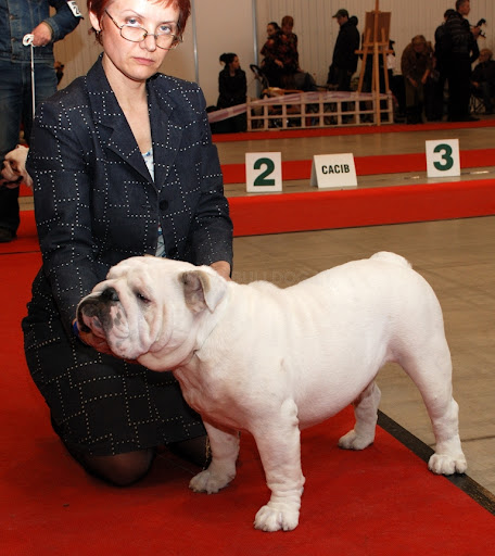 Paveikslėlis
