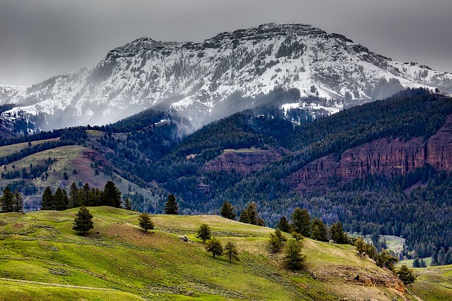 Yellowstone National Park is one of the national parks for your next camping trip to visit