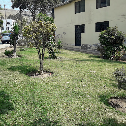 Opiniones de Alquiler de Camas Saltarinas y Alquiler De Juegos Infantiles Saltolandia en Lima - Organizador de eventos