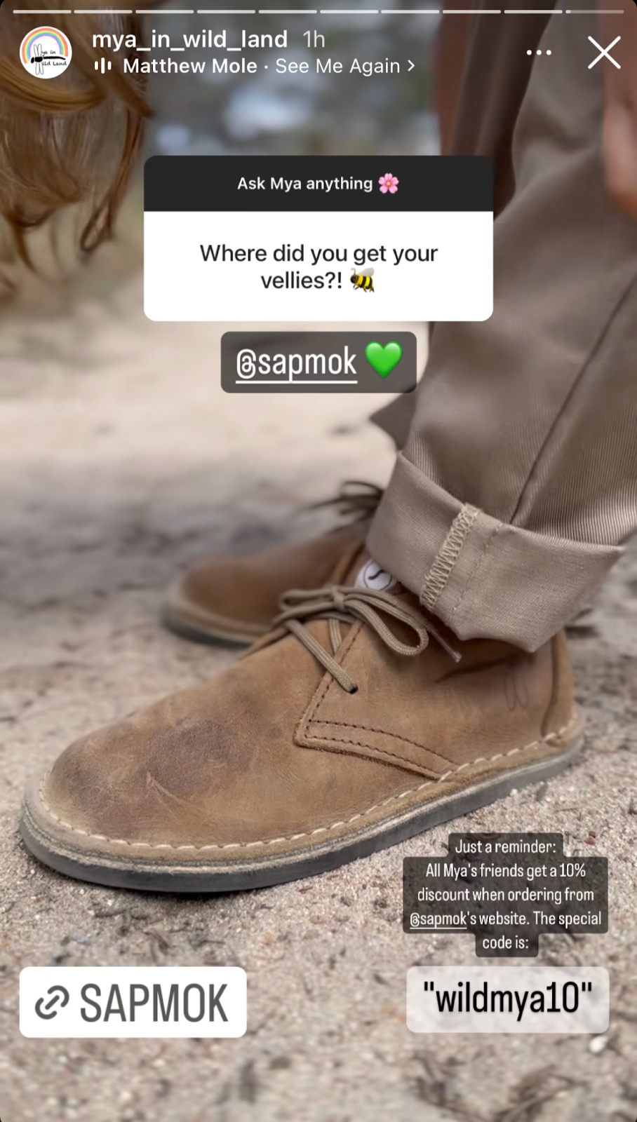 Example of an affiliate campaign from instagram