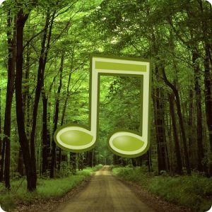 Forest Sounds Nature To Sleep apk Download