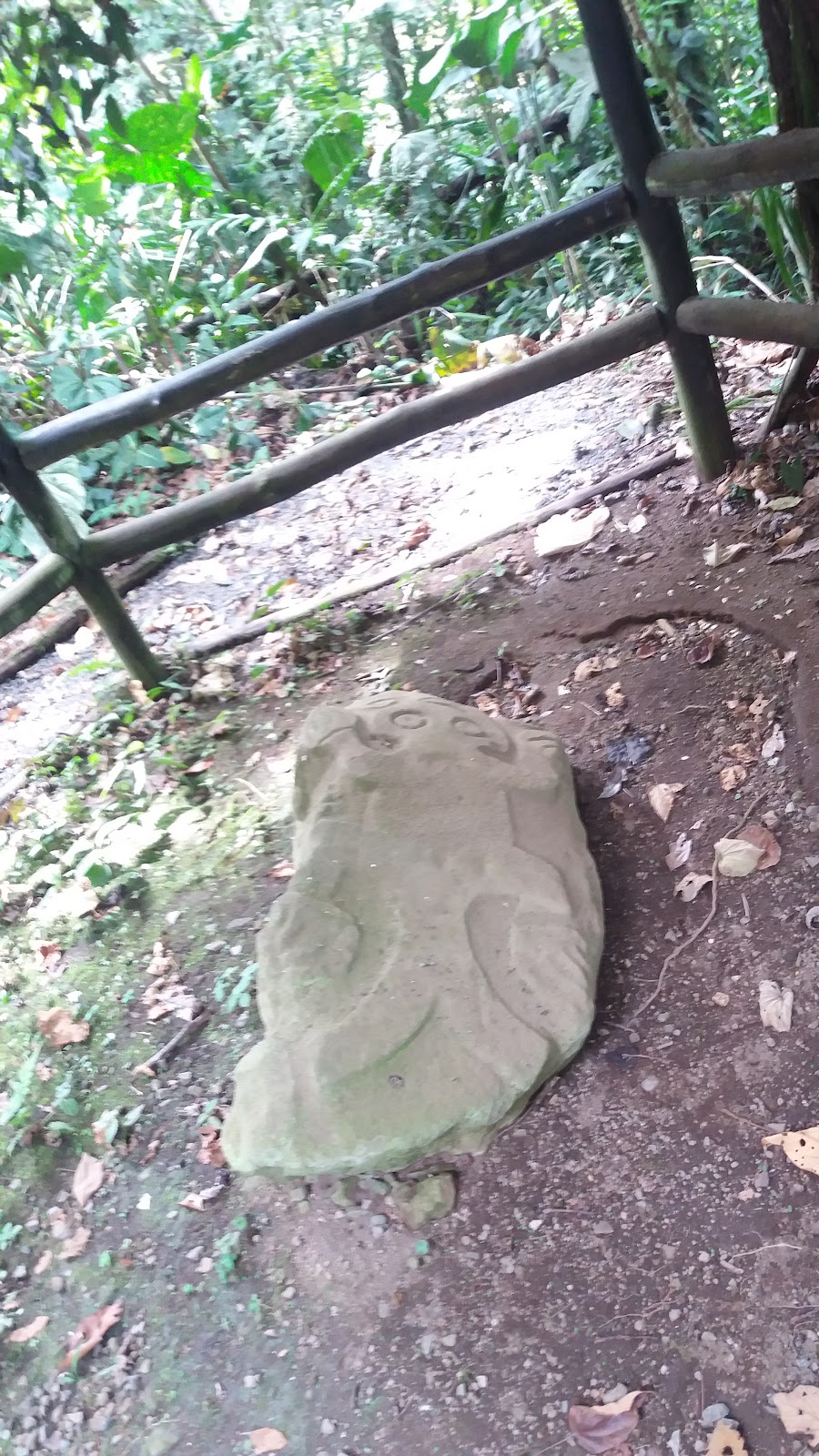 20170913_133121.jpg