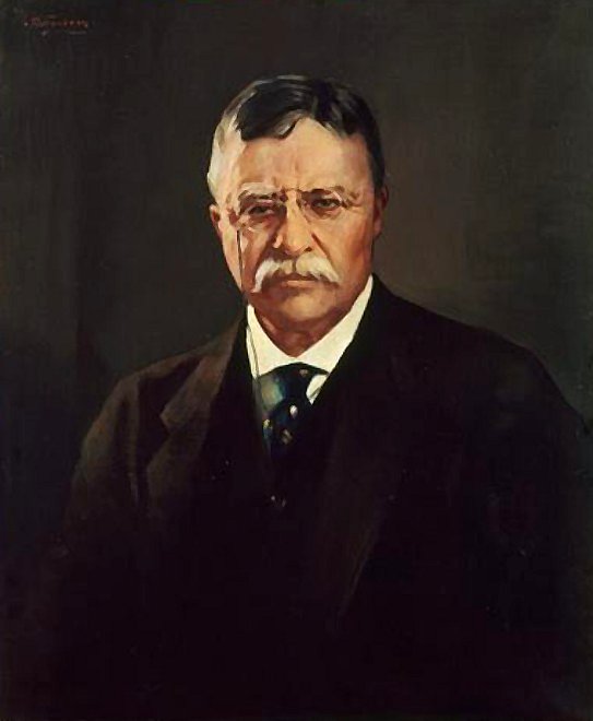 Image result for theodore roosevelt