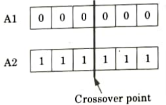 Explain different phases of genetic algorithm. Machine Learning Techniques Aktu