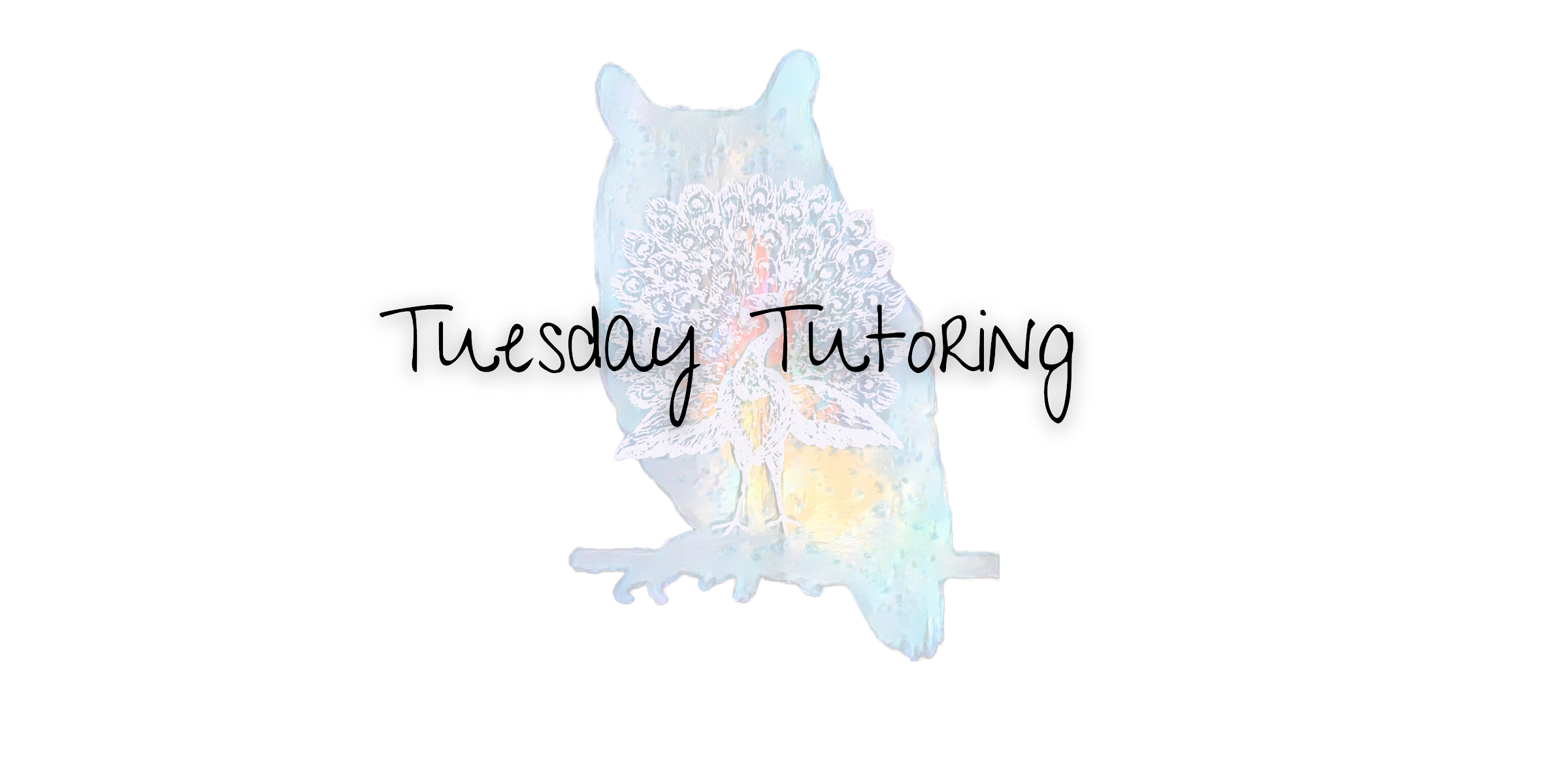 Tuesday Tutoring: The Power of Connection and Community in Spiritual Growth and Tutoring
