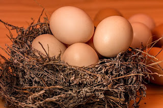 eggs-for-hair-care