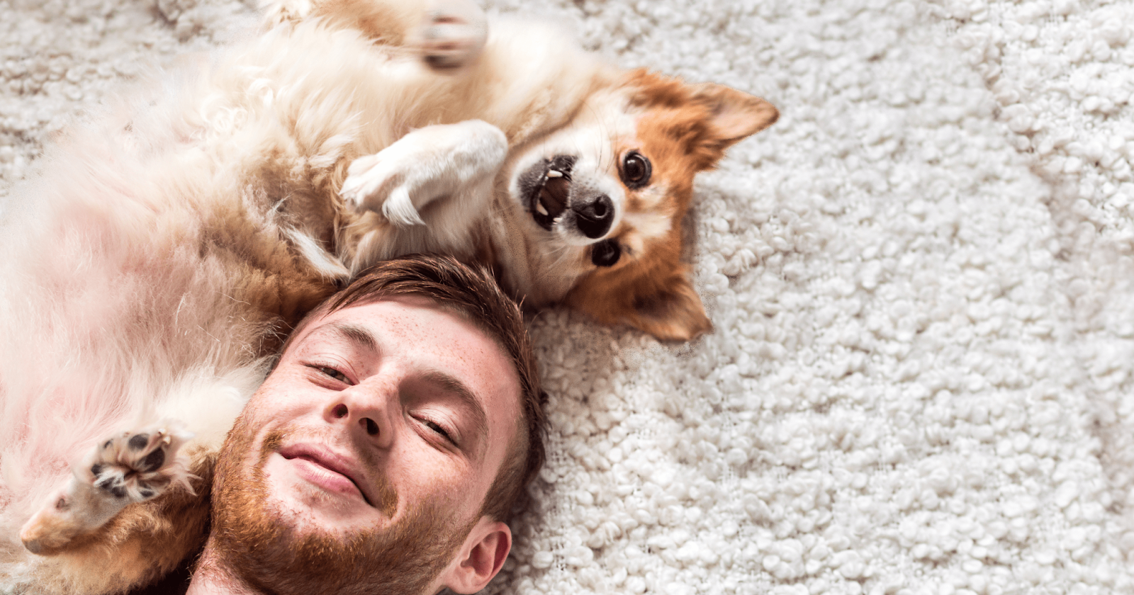 Man laying on ground with small dog laying on its back beside his head