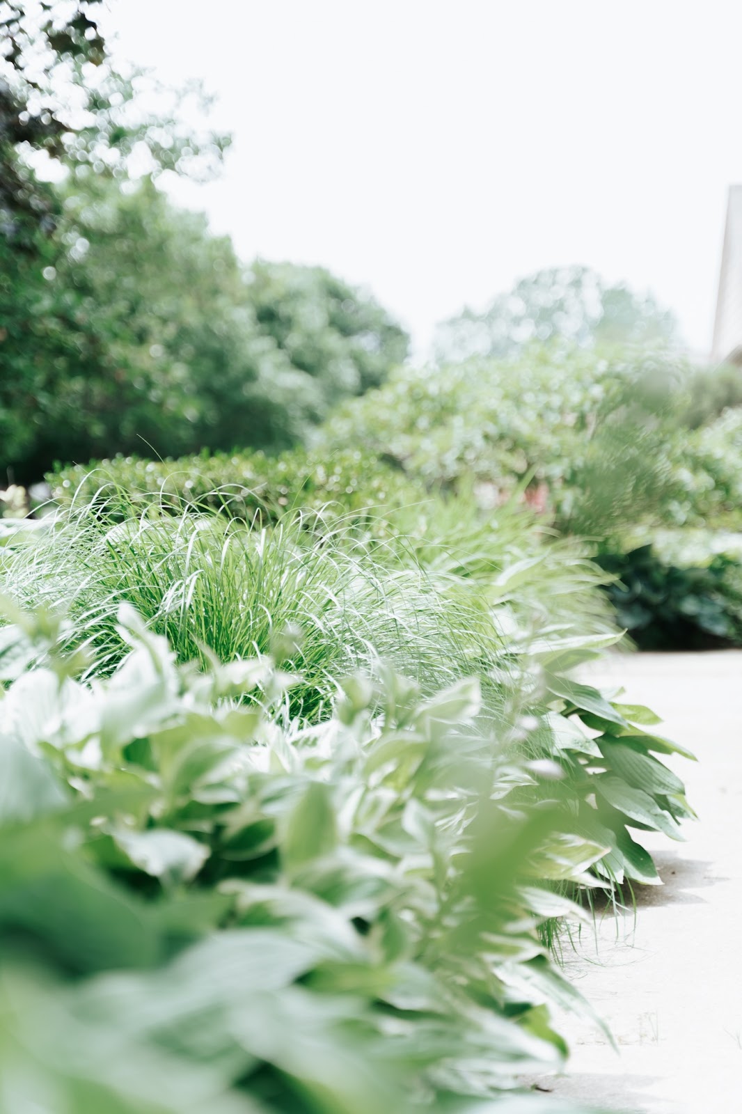 HOW TO CREATE LOW-MAINTENANCE LANDSCAPING FOR YOUR FRONT YARD image 9