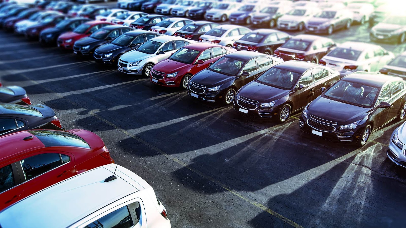 Jual Beli Mobil Bekas Jambi, Cek Pilihan Mobil Terbaik di Sini! - Setir