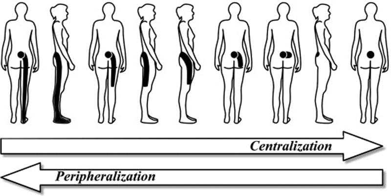 https://chiro.org/BLOG_Graphics/CENTRALIZATION.jpg