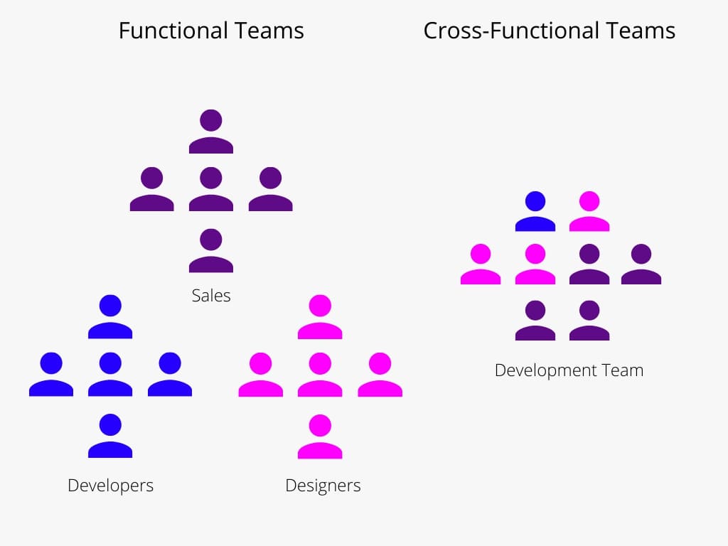 Functional Teams and Cross Functional Teams' structure