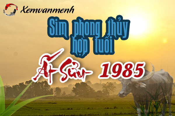 xem-sim-phong-thuy-hop-tuoi-at-suu-1985