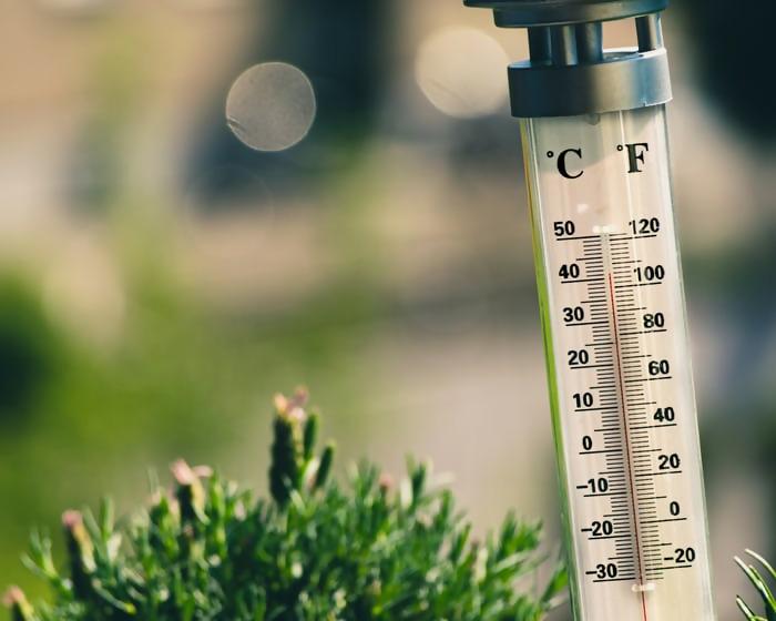 What is the best temperature for a greenhouse? – Farm and Garden DIY