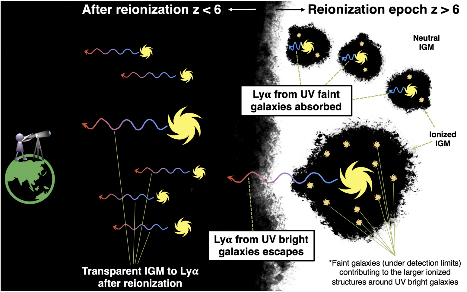 Cartoon depiction of inhomogeneous processes in reionization. On the right is earlier times with more neutral gas. Fainter galaxies have smaller bubbles of ionized gas around them and less clustering of galaxies than the brighter galaxies. Lyman alpha photons can escape the bigger bubbles. On the left is the observer looking through the mostly ionized nearby (later times) Universe.