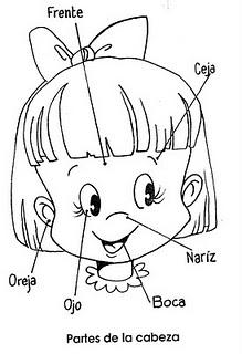 C:\Users\pc\Desktop\EXI lenguaje\cara - copia - copia.jpg