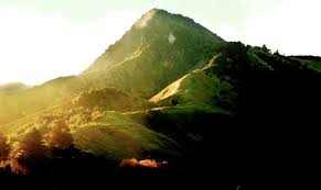 Image result for maunga