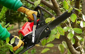 Tree trimming Mornington Peninsula