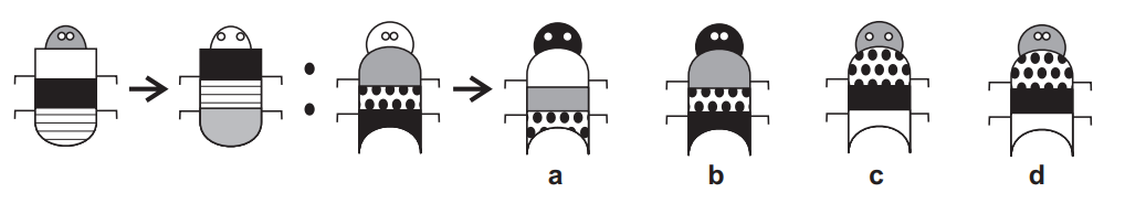 11+ non verbal test question example