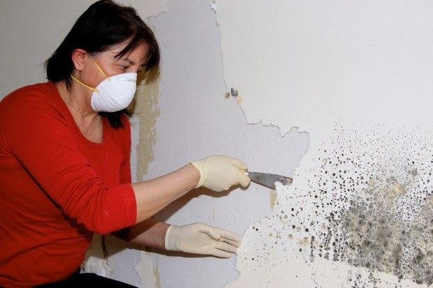 woman removing mold from a wall