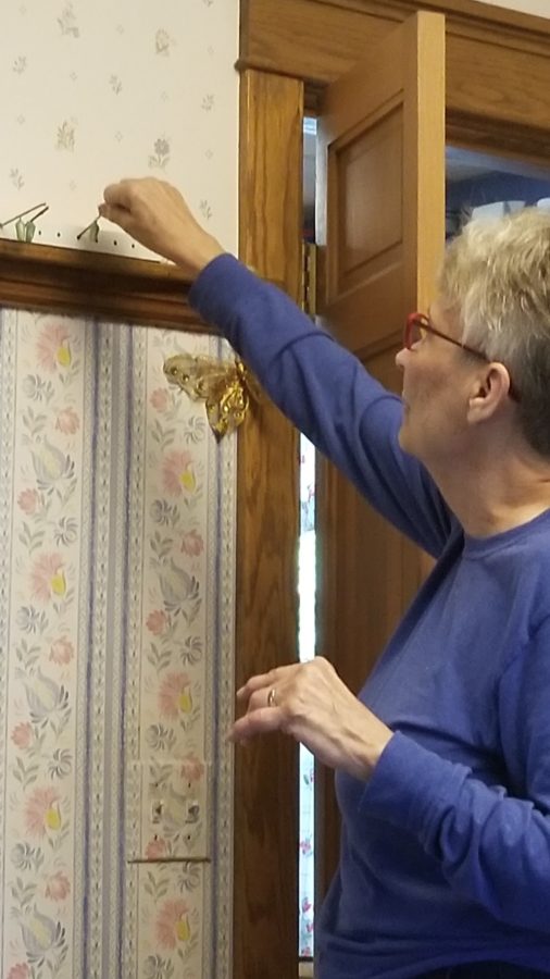 hanging chrysalis on dining room wall