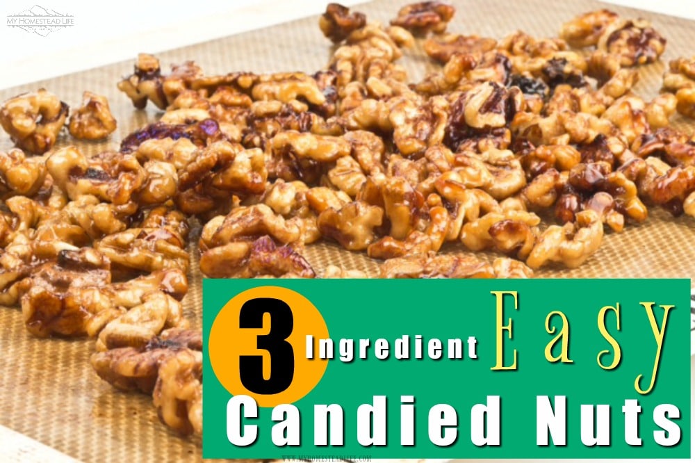 easy-candied-walnuts-how-to-make
