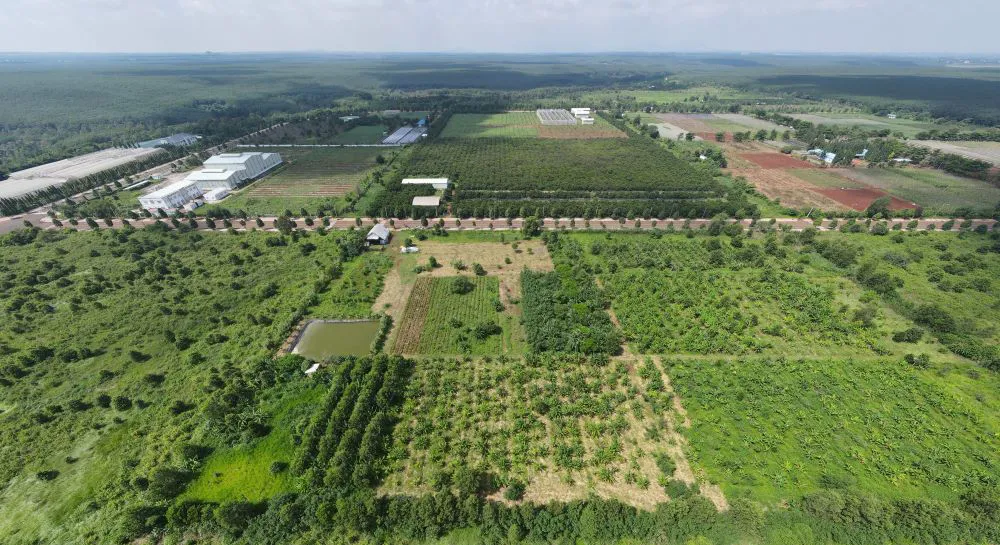 Nông trại hữu cơ đạt chuẩn Organic EU của Geneworld