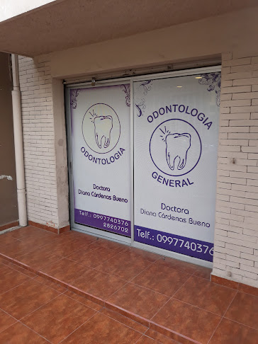 Opiniones de Dra. Diana Cardenas B. en Cuenca - Dentista