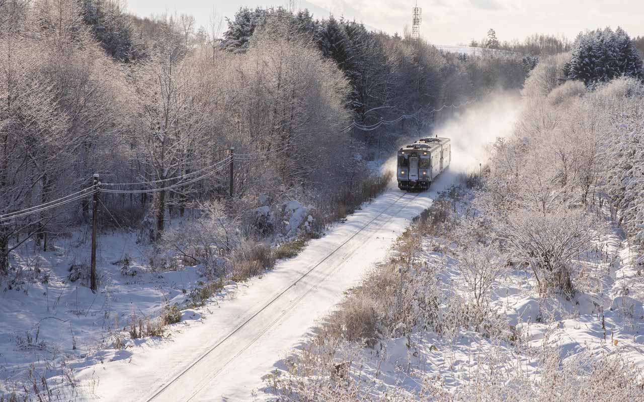北海道を冬に観光するための大全！雪の楽園を満喫するノウハウ