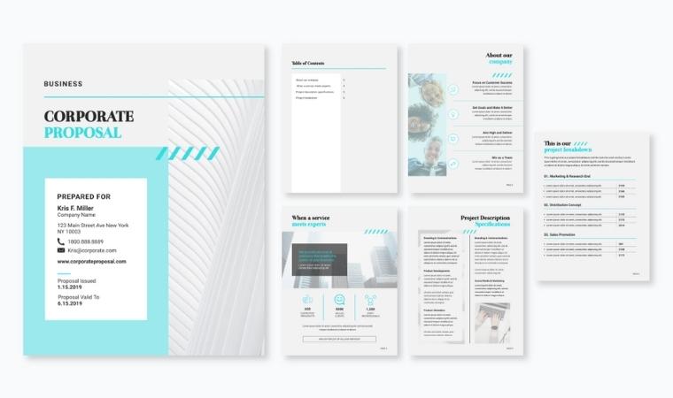 Corporate Proposal Template - DSers