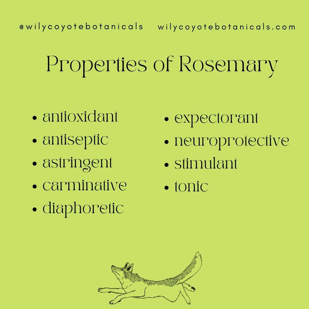 properties of rosemary