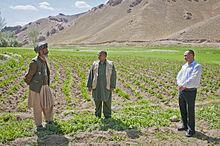 http://upload.wikimedia.org/wikipedia/commons/thumb/e/ee/People_of_Bamyan-6.jpg/220px-People_of_Bamyan-6.jpg