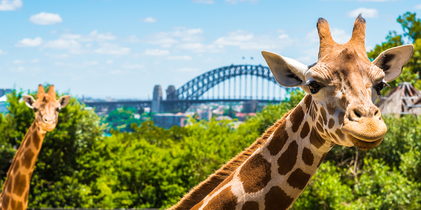 Taronga Zoo